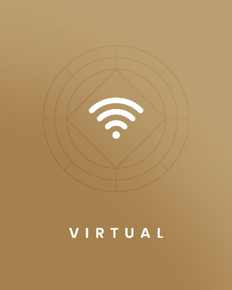 viziunea virtual