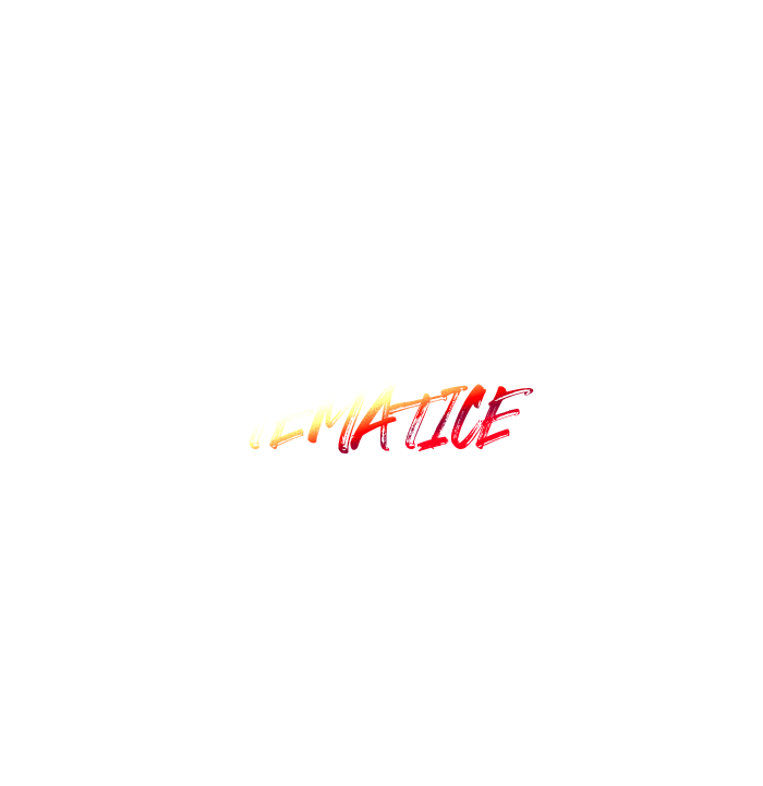 inaer-ateliere tematicee