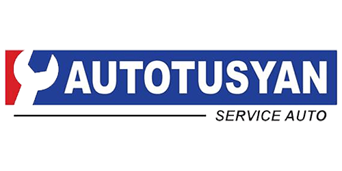 polish auto royal motors